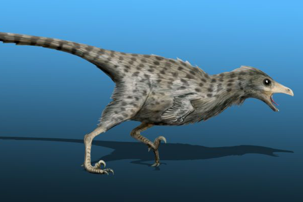 Quantos anos viviam os dinossauros?