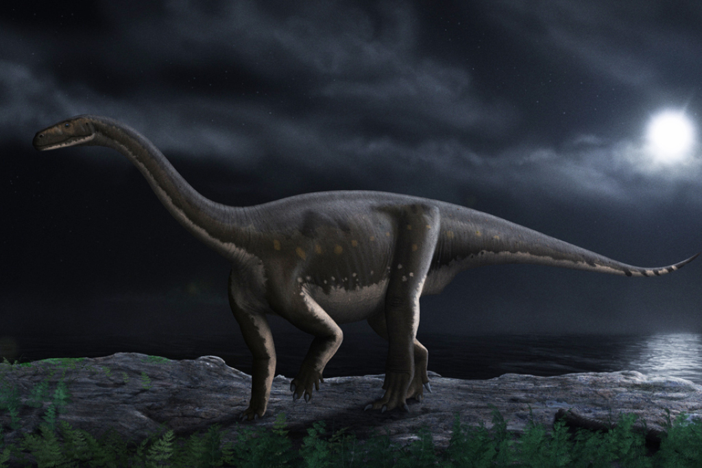 Quantos anos viviam os dinossauros? Melanossauro