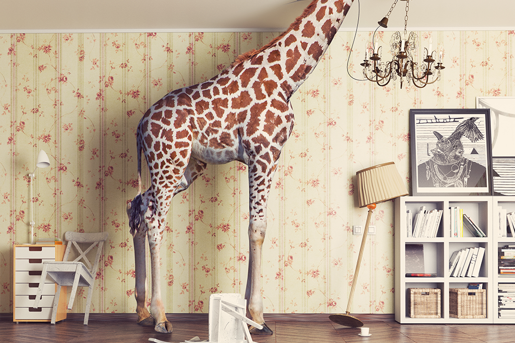 É verdade que a cada geração ficamos mais altos?