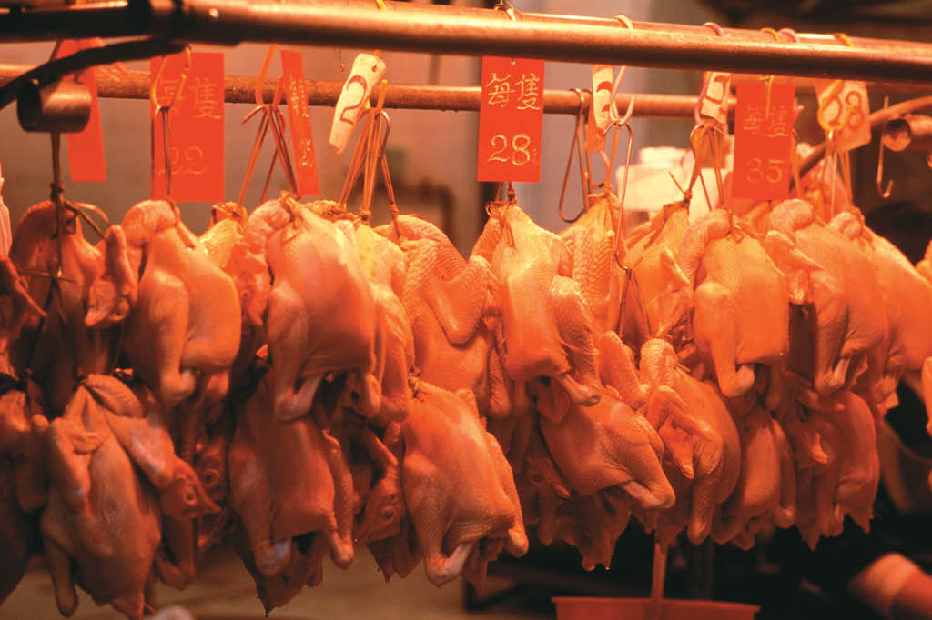 Hoje são abatidos, em um dia, nos EUA, tantos frangos quanto os que eram mortos em um ano em 1930