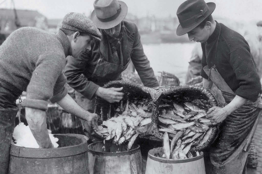 Muita gente que come carne de peixe se considera vegetariana