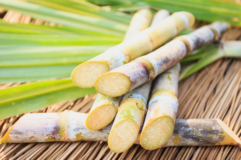 Cana ou beterraba: qual açúcar é mais doce?