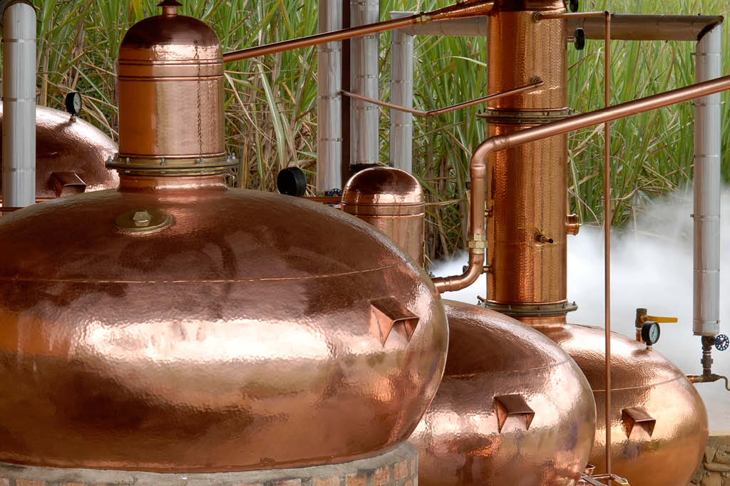 Da cana &agrave; caninha: destila&ccedil;&atilde;o