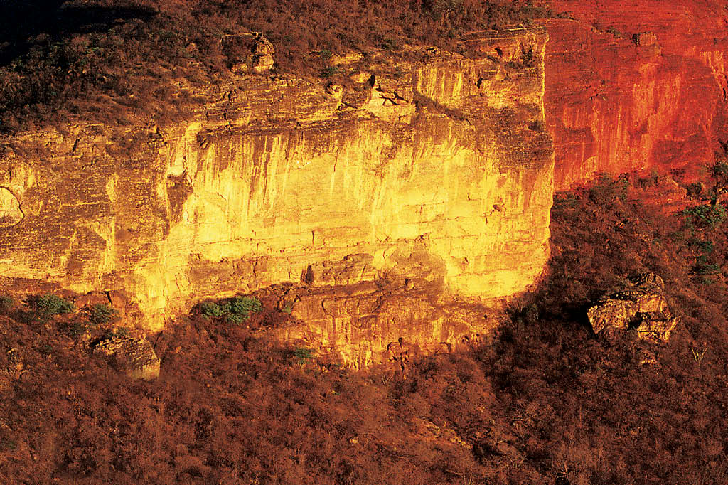 A vida da caatinga: o&aacute;sis montanhoso