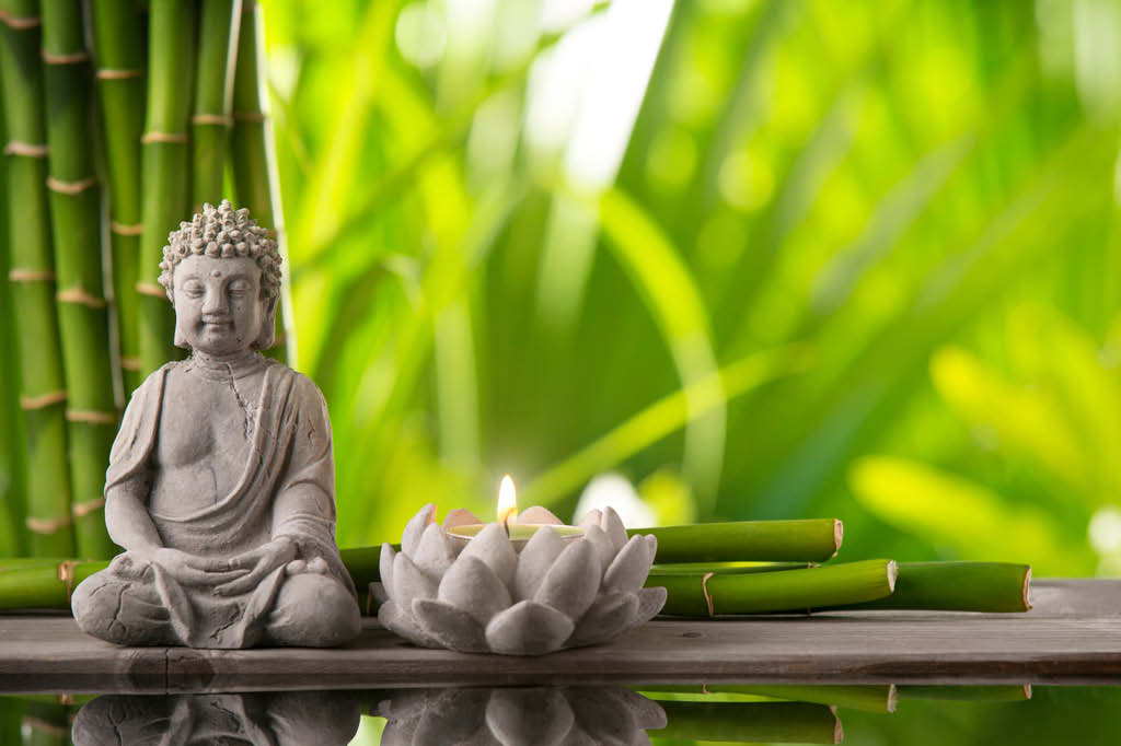 Entre o c&eacute;u e os neur&ocirc;nios: budismo