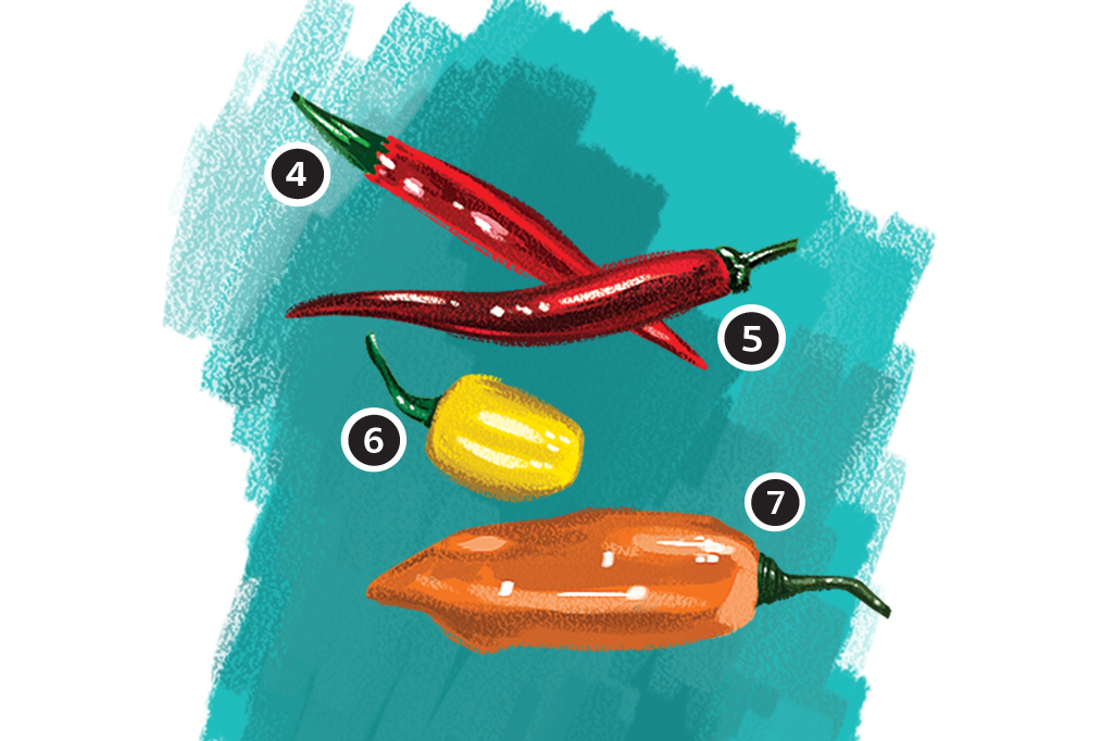 Por que pimenta arde? Por que pimenta arde?