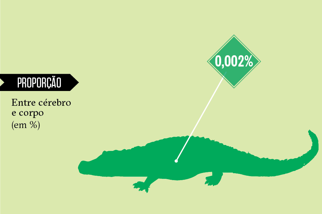 Animais superdotados: crocodilo
