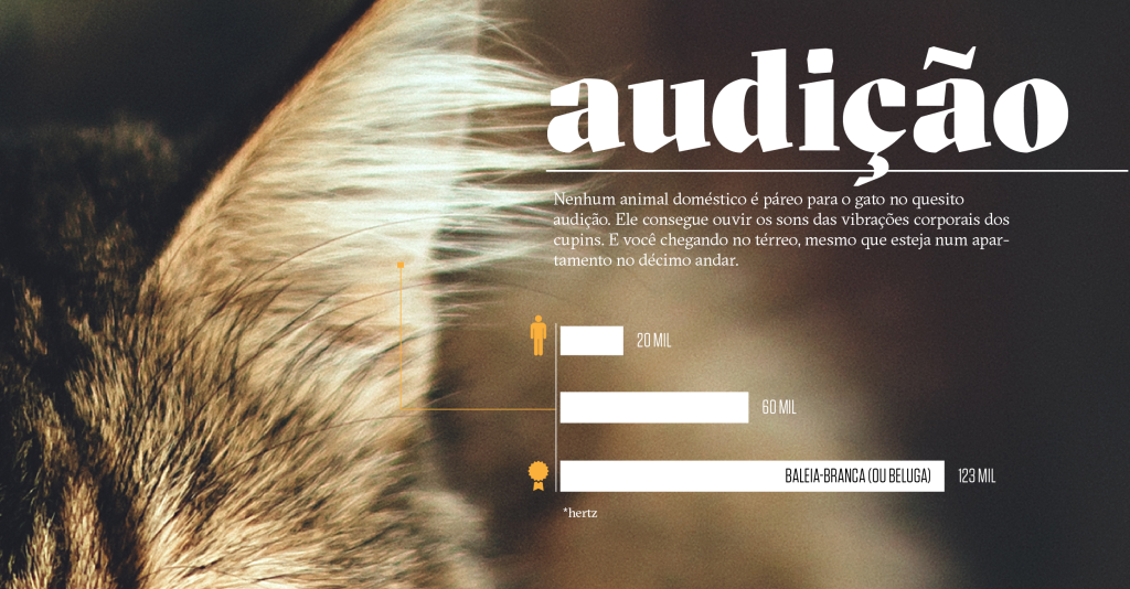 Como os animais realmente enxergam o mundo: audição
