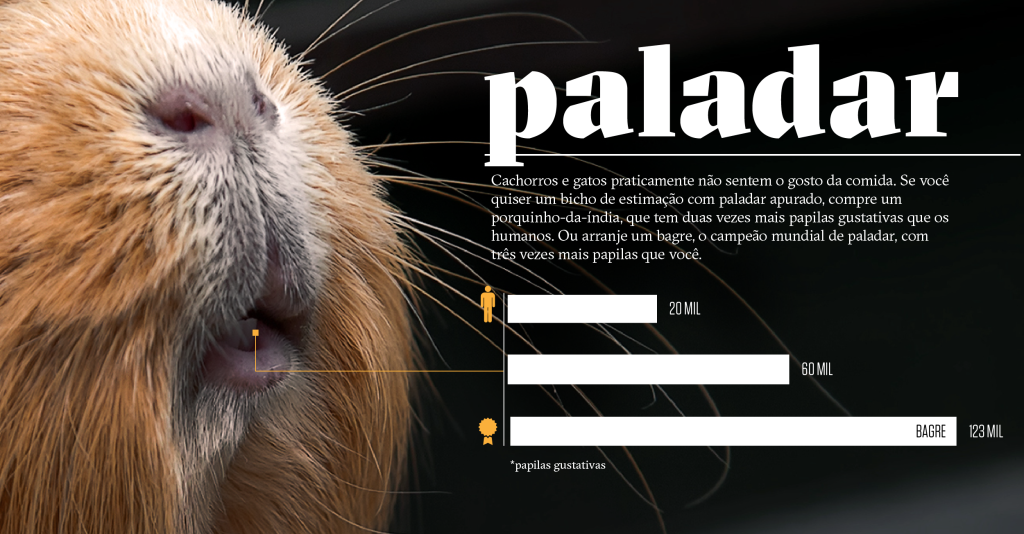 Como os animais realmente enxergam o mundo: paladar