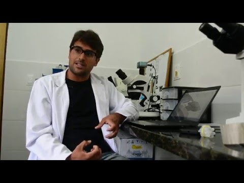 Biólogo explica como a lama dizimou microorganismos importantes