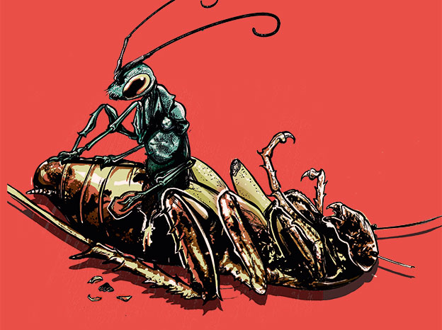 Esses zumbis são animais