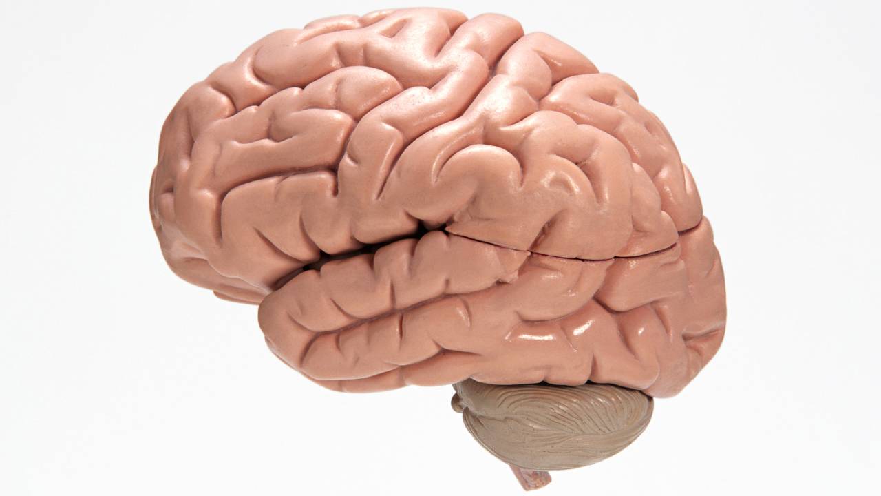 thinkstock
