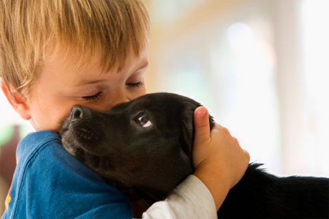 Bubbers tem 8 anos de idade. Segundo os donos, é o cão mais doce do mundo. Esta é a primeira vez que participou do concurso do cão mais feio do mundo.