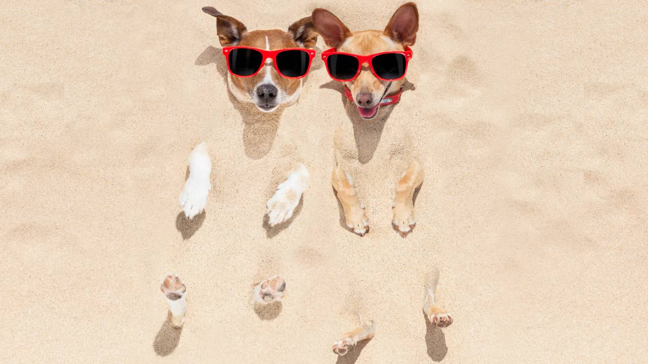 iStock
