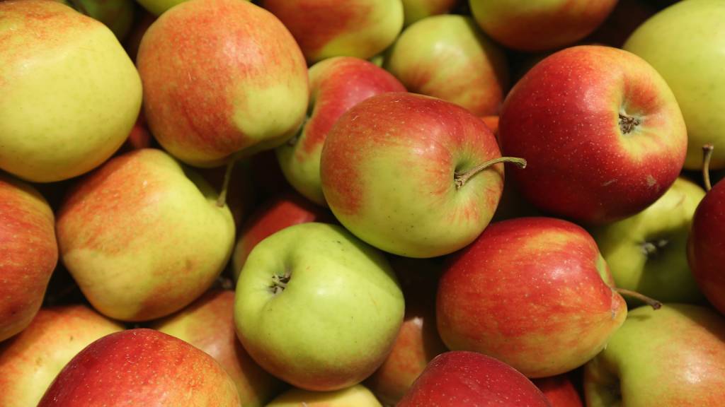 8 alimentos que parecem vegetarianos, mas podem não ser