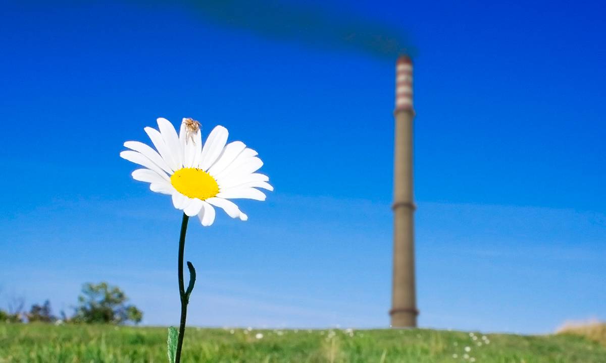iStock