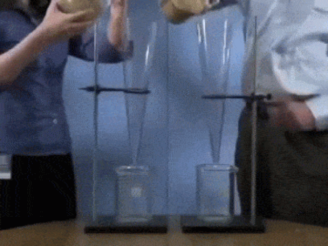 gif transito arroz funil