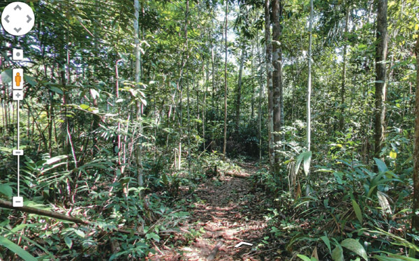 O Google Maps vai à Amazônia