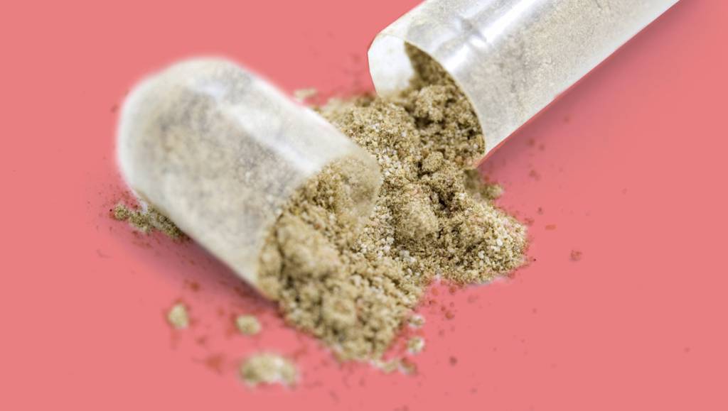 3 notícias de ciência que marcaram a semana