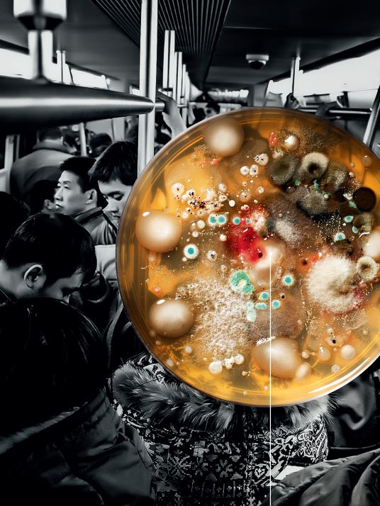 Pandemia: era só uma questão de tempo