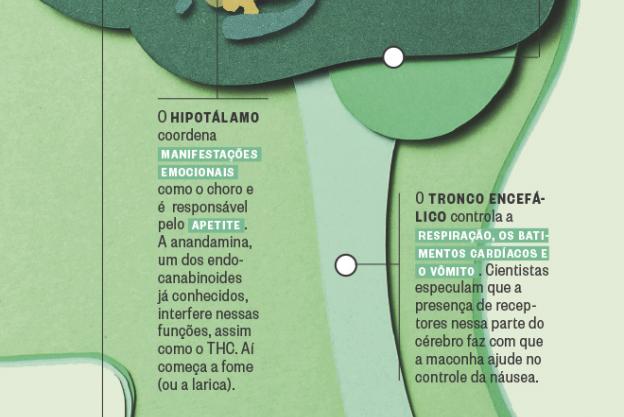 super.abril.com.br