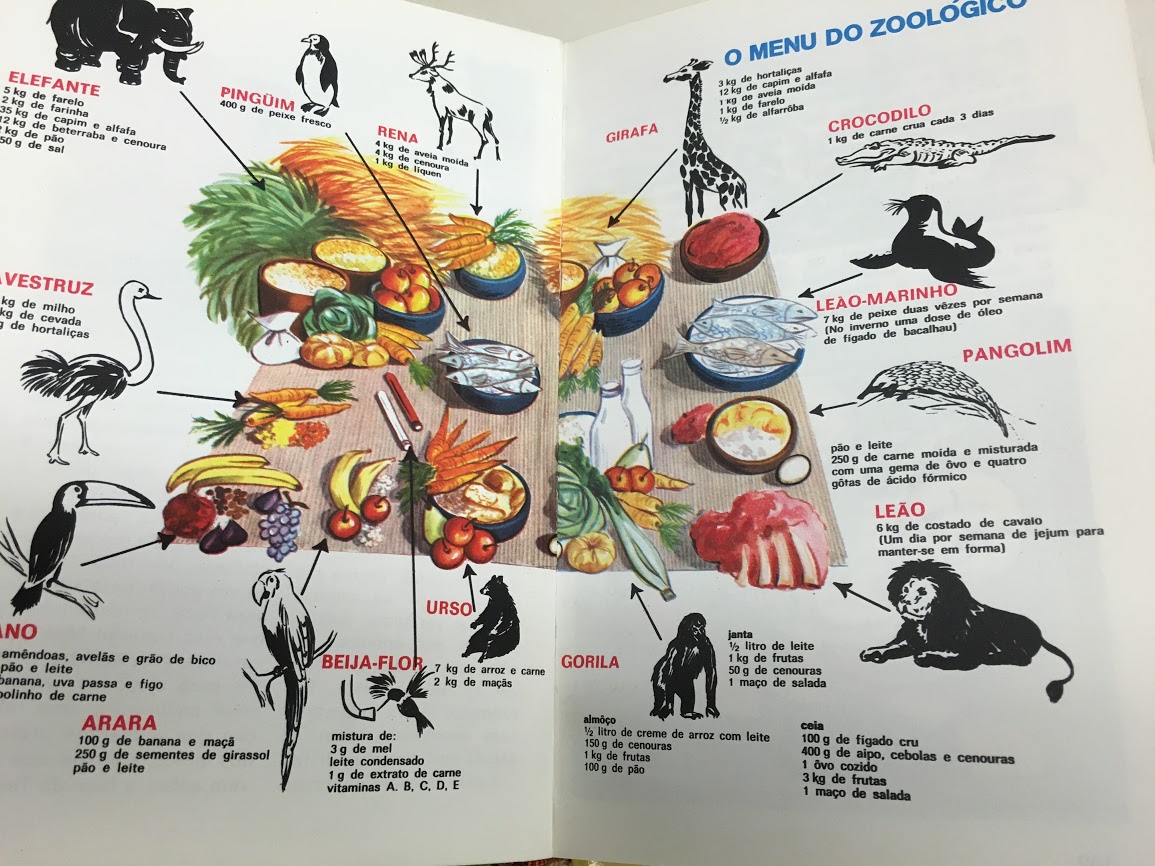 Manual do Escoteiro Mirim