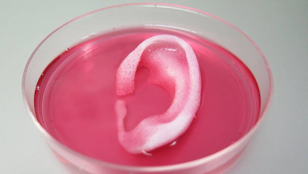 Impressora 3D usa células para gerar partes do corpo humano