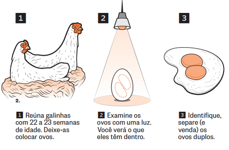 Ovo com duas gemas
