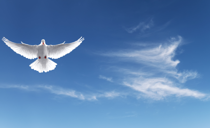 A Questão Metodista: O que a Bíblia quer dizer com paz?