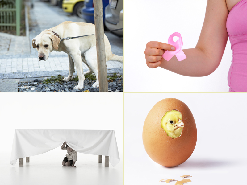 Galinha, DeLorean e aquela câmera da Copa