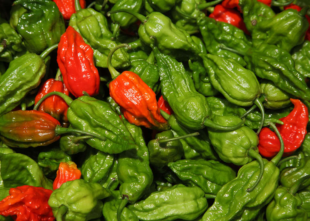 Homem comeu pimenta tão ardida que acabou com um furo no esôfago