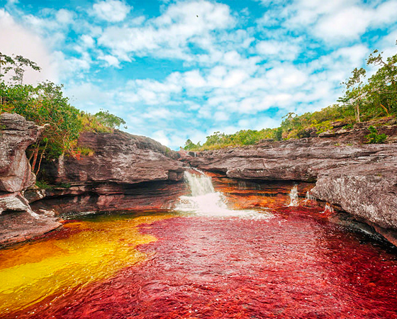 Caño Cristales Caño Cristales