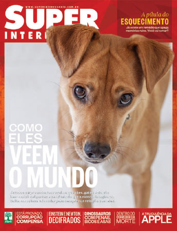 Esta é a Lilica de Caxias do Sul/RS. A foto foi enviada pela leitora @danirsiqueira. Esta é a Lilica de Caxias do Sul/RS. A foto foi enviada pela leitora @danirsiqueira.
