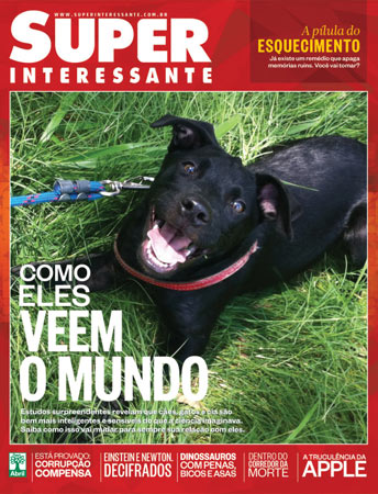 Este é o Seu Jorge. A foto foi enviada pelo leitor Leandro Soares.