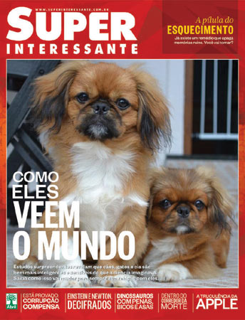 A foto, enviada pela leitora Silvia Noronha, mostra os cães Thor e Eros. Eles são de Santo André/SP.