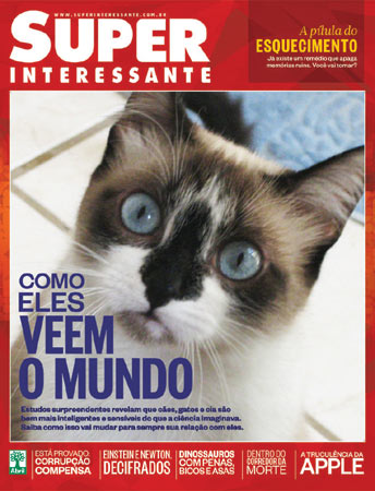 Este gato é da leitora Cássia Maurício (@cassiamauricio).