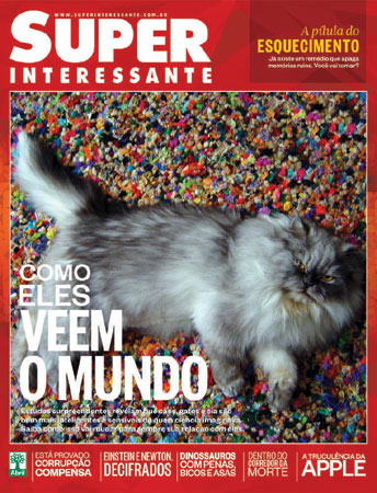 Este é o Petito de Recife/PE. A foto foi enviada pelo leitor Fellipe Figueiroa.