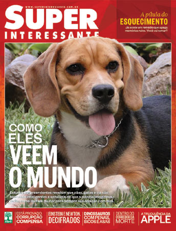 Este é o beagle Snoopy, de Três Passos/RS. A foto foi enviada pelo leitor Eduardo Henrique Neuhaus.