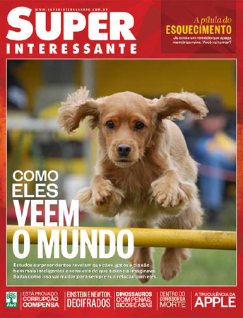 Esta é a Lana de Guarulhos/SP. A foto foi enviada pela leitora Karen Geraldi. Esta é a Lana de Guarulhos/SP. A foto foi enviada pela leitora Karen Geraldi.