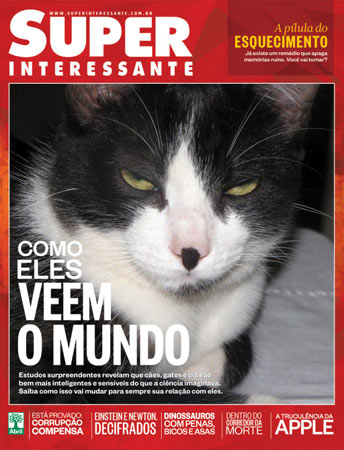 Este é o gato Pintadinho. A foto foi enviada pelo leitor Marcos Domicio.