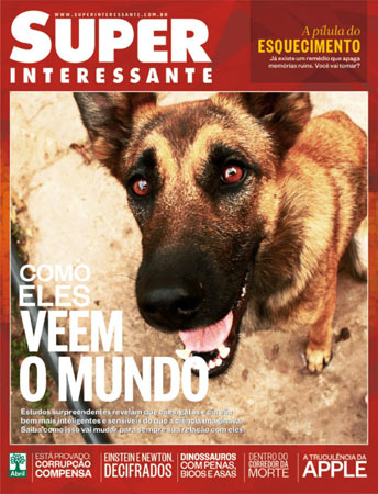 Esta é a Maya de São Paulo/SP. A foto foi enviada pela leitora Melissa Silveirol.
