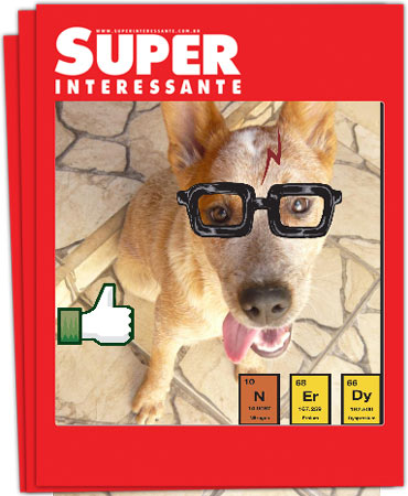 Esta é a Isadora posando de nerd para a foto. A montagem foi enviada pela leitora Laís Bovo, de Araras/SP. Esta é a Isadora posando de nerd para a foto. A montagem foi enviada pela leitora Laís Bovo, de Araras/SP.
