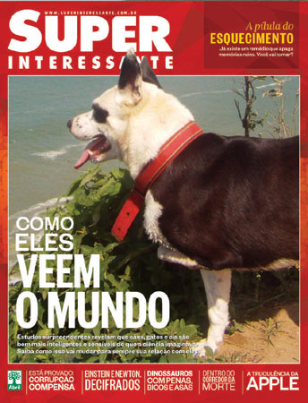 Esta é a Layla, que só movimenta 3 patas, curte explorar e vê o mundo melhor que muita gente. Ela é de Penha/SC e a foto foi enviada pelo leitor Anderson Pera Jones.