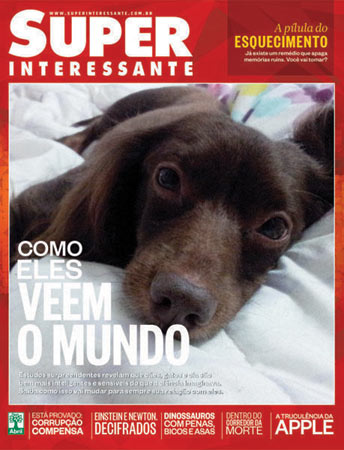 Esta é a foto da Lana, enviada pela leitora Cibele Aviles (@ctaviles). Esta é a foto da Lana, enviada pela leitora Cibele Aviles (@ctaviles).