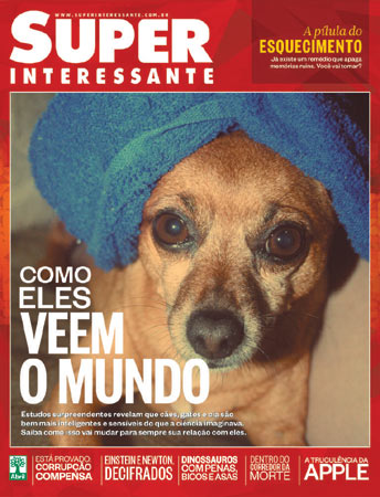 Este é o Draco de Mogi. A foto foi enviada pela leitora Juliana Cimeno.