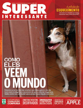 Esta é a foto do Fox, enviada pelo leitor Ricardo Azevedo Miguel. Esta é a foto do Fox, enviada pelo leitor Ricardo Azevedo Miguel.