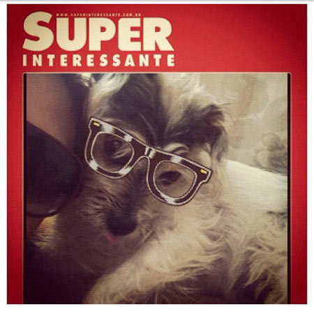 A @paulinhah postou uma foto de seu bicho de estimação com o aplicativo #geekyourself no Instagram.