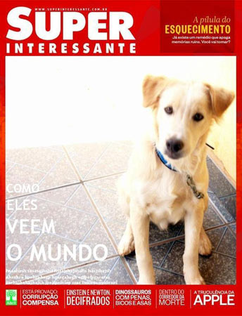 Este é o Dickie de Itapetininga/SP. A foto foi enviada pelo leitor Vinícius José Oliveira Almeida. Este é o Dickie de Itapetininga/SP. A foto foi enviada pelo leitor Vinícius José Oliveira Almeida.