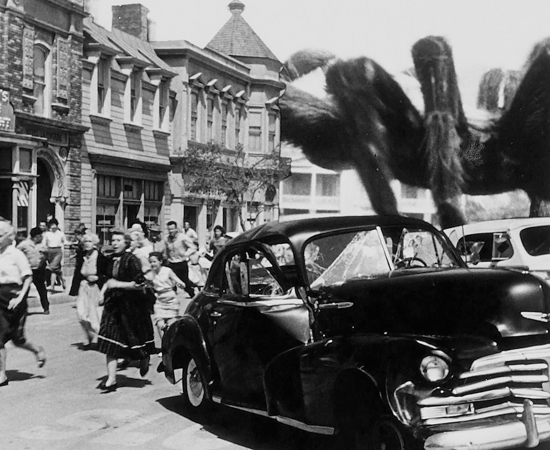 Em A Aranha (1958), dirigido por Bert I. Gordon, um grupo de adolescentes luta contra uma aranha mutante gigantesca. Em A Aranha (1958), dirigido por Bert I. Gordon, um grupo de adolescentes luta contra uma aranha mutante gigantesca.
