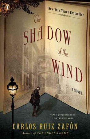 No livro A Sombra do Vento, lançado em 2001, o escritor  Carlos Ruiz Zafón conta a história de Daniel, um garoto de 11 anos que perdeu a mãe. Para consolar o menino, o pai resolve levá-lo a uma biblioteca secreta, o Cemitério dos Livros Esquecidos.